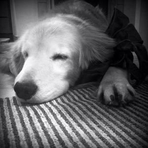 Meet your Posher, Bev